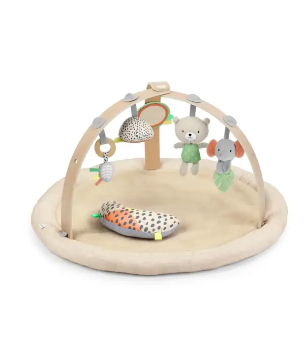 Ingenuity Lambswool Baby Play Gym and Play Mat